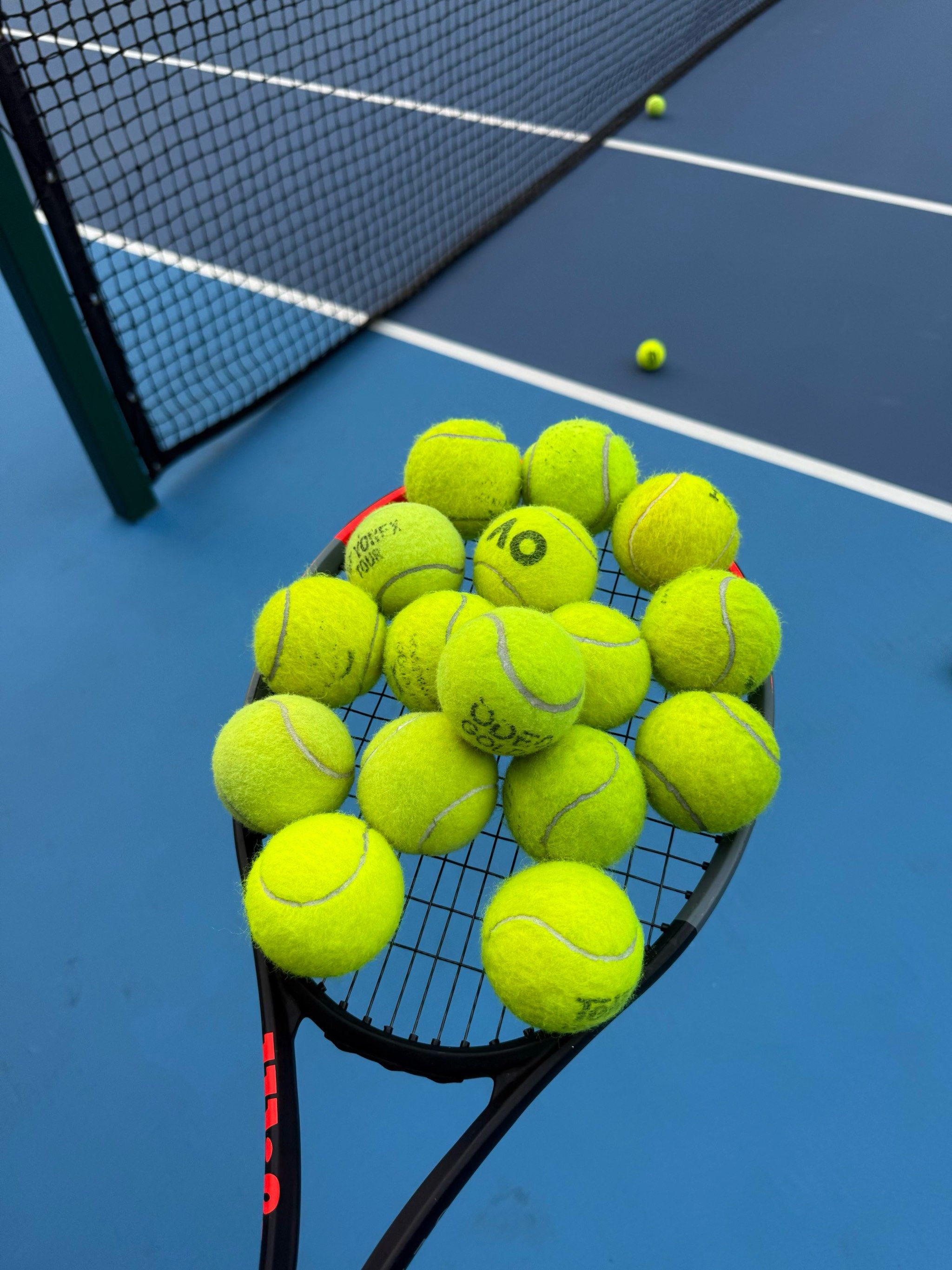 育和团结精 育和团结精